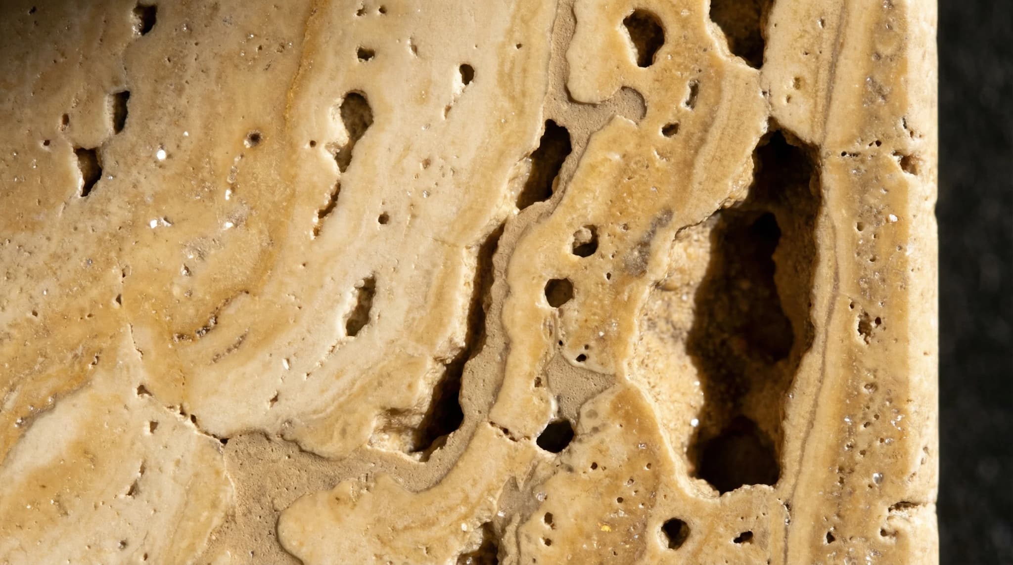 Primer plano de la textura del travertino turco mostrando poros naturales y tonos tierra cálidos